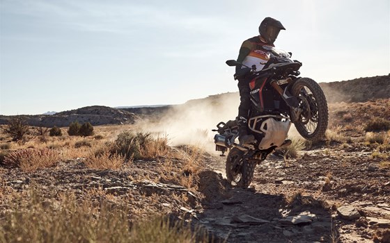 Neufahrzeug Triumph Tiger 900 Rally Pro - Bild 24