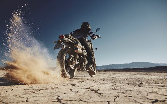 Neufahrzeug Triumph Scrambler 900 - Bild 17