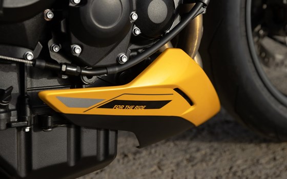 Neufahrzeug Triumph Street Triple 765 RS - Bild 17