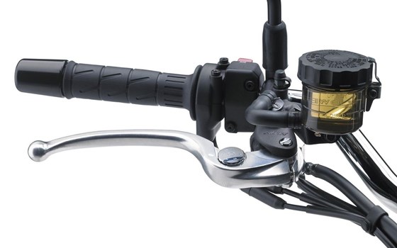 Neufahrzeug Kawasaki Z900 RS - Bild 5