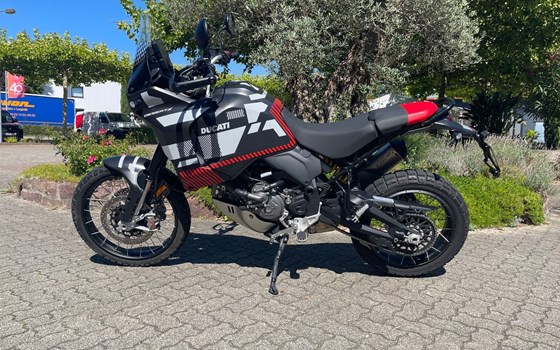 Gebrauchtmotorrad Ducati DesertX - Bild 2