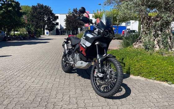 Gebrauchtmotorrad Ducati DesertX - Bild 5