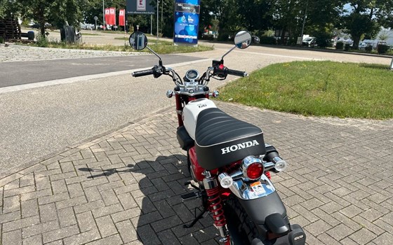 Neufahrzeug Honda Monkey 125 - Bild 5