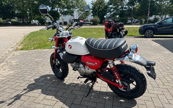 Neufahrzeug Honda Monkey 125 - Bild 6