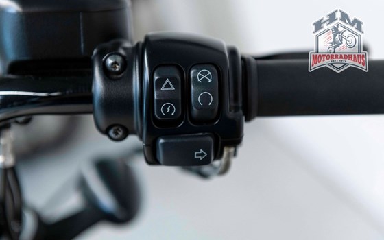 Gebrauchtmotorrad Harley-Davidson Sportster XL 1200X Forty-Eight - Bild 7