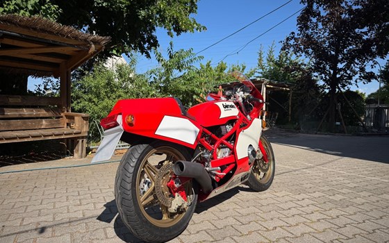 Gebrauchtmotorrad Bimota SB 3 - Bild 2