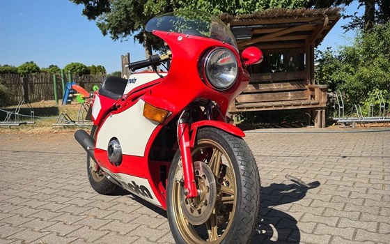 Gebrauchtmotorrad Bimota SB 3 - Bild 3