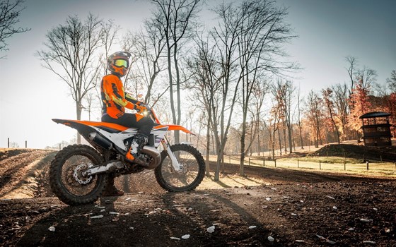 Neufahrzeug KTM 300 SX - Bild 13 Neufahrzeug KTM 300 SX - Bild 13