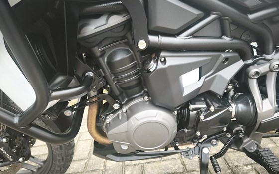 Gebrauchtmotorrad Triumph Tiger 1200 Alpine Edition - Bild 11