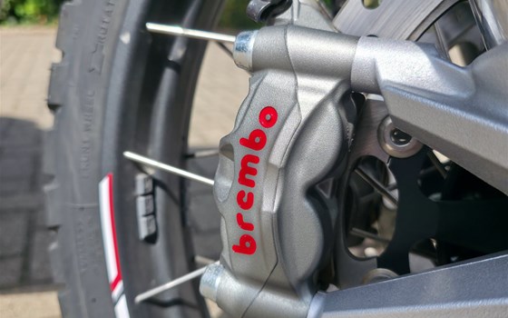 Gebrauchtmotorrad Ducati DesertX - Bild 5