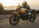 Angebot Triumph Scrambler 400 XC