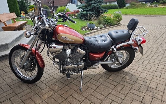 Gebrauchtmotorrad Yamaha Virago 535 - Bild 3