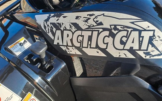 Gebrauchtmotorrad Arctic Cat 425i 4x4 - Bild 3