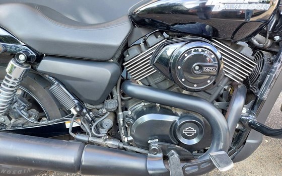 Gebrauchtmotorrad Harley-Davidson Street 750 - Bild 5