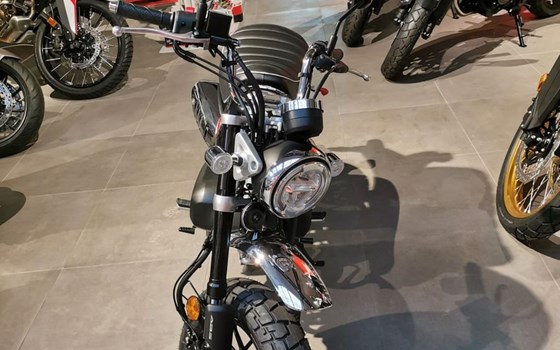 Neufahrzeug Honda Monkey 125 - Bild 7