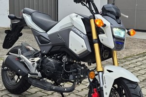 Angebot Honda MSX125 Grom