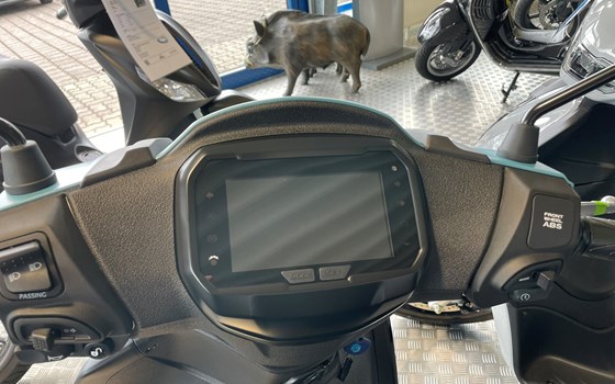 Neufahrzeug Piaggio Liberty 125 S - Bild 6