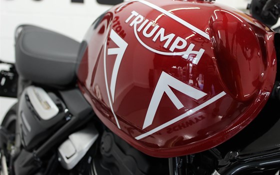 Neufahrzeug Triumph Speed 400 - Bild 6