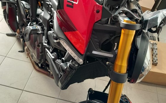 Gebrauchtmotorrad Ducati Monster SP - Bild 3