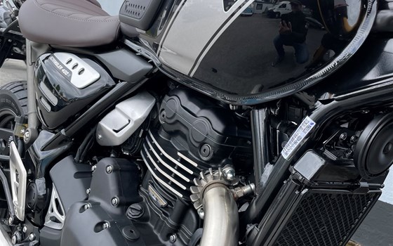 Neufahrzeug Triumph Scrambler 400 X - Bild 4