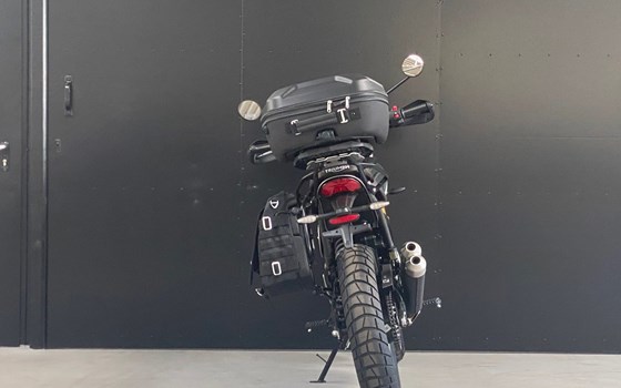 Neufahrzeug Triumph Scrambler 400 X - Bild 4
