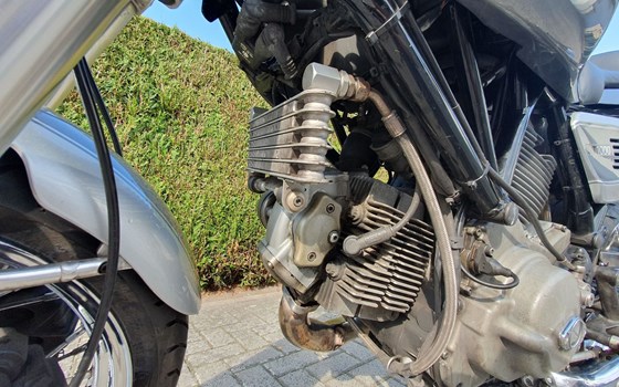 Gebrauchtmotorrad Ducati GT 1000 - Bild 3