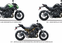 Neumotorrad Kawasaki Z900 70kW