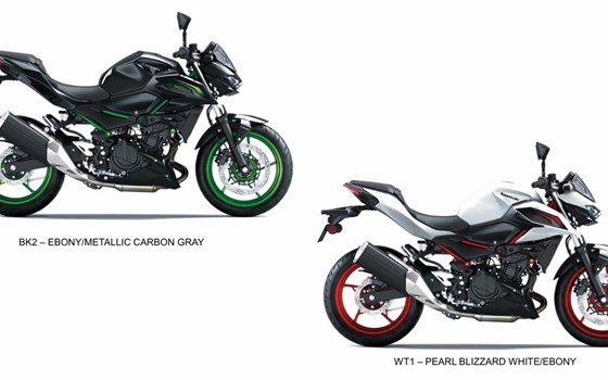 Neufahrzeug Kawasaki Z 500 SE - Bild 1