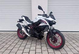 Neumotorrad Kawasaki Z 500 SE