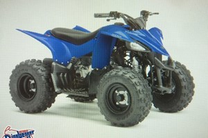 Angebot Yamaha YFZ50