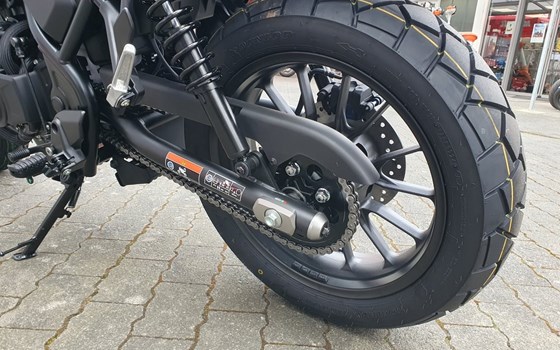 Neufahrzeug Honda CL500 - Bild 11