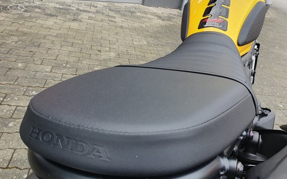 Neufahrzeug Honda CL500 - Bild 8