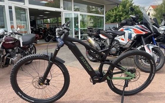 Neufahrzeug Raymon Trailray 150 - Bild 2