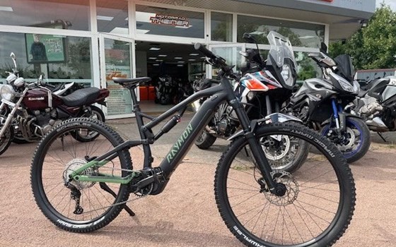 Neufahrzeug Raymon Trailray 150 - Bild 4