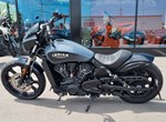 Angebot Indian Scout Rogue