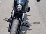 Angebot Indian Scout Rogue