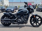 Angebot Indian Scout Rogue