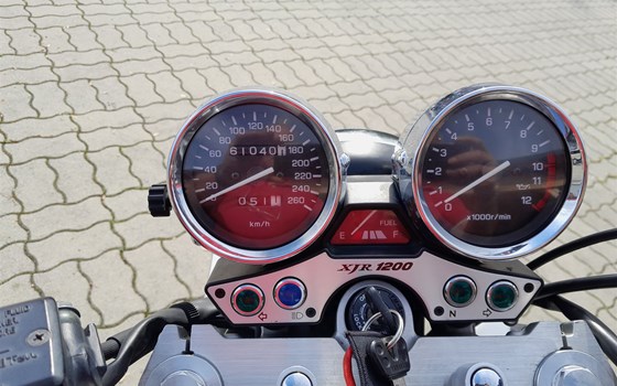 Gebrauchtmotorrad Yamaha XJR 1200 - Bild 5 Gebrauchtmotorrad Yamaha XJR 1200 - Bild 5