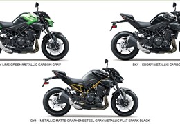 Neumotorrad Kawasaki Z900 70kW