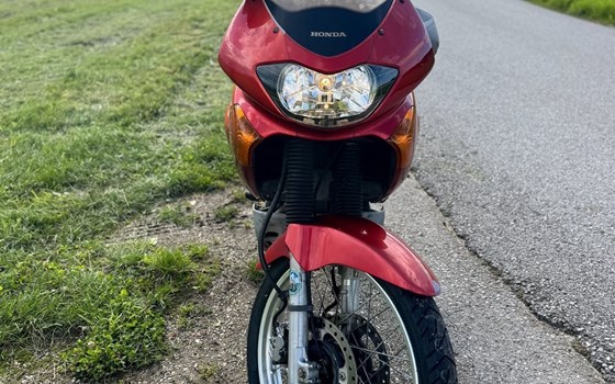 Gebrauchtmotorrad Honda XL 650V Transalp - Bild 6 Gebrauchtmotorrad Honda XL 650V Transalp - Bild 6