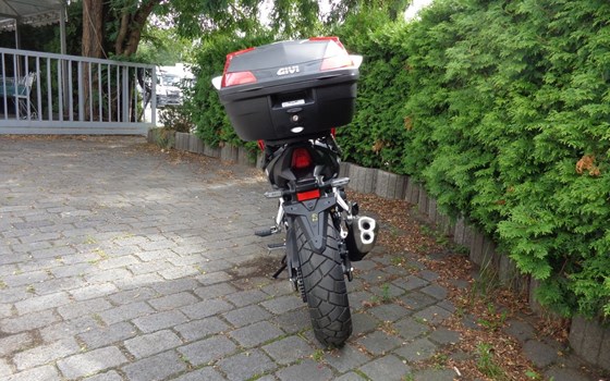 Gebrauchtmotorrad Honda NX500 - Bild 5