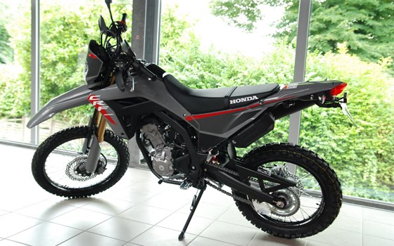 Gebrauchtmotorrad Honda CRF300L - Bild 4