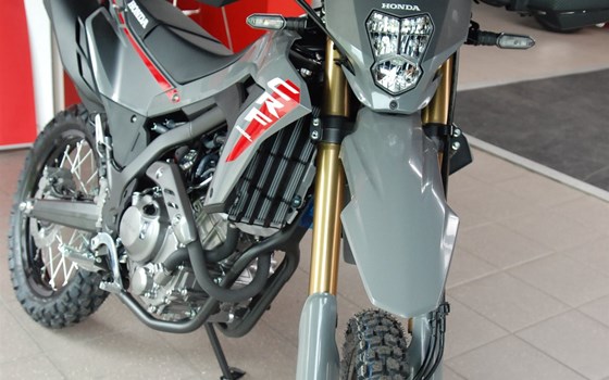 Gebrauchtmotorrad Honda CRF300L - Bild 8