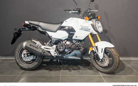 Gebrauchtmotorrad Honda MSX 125 - Bild 1