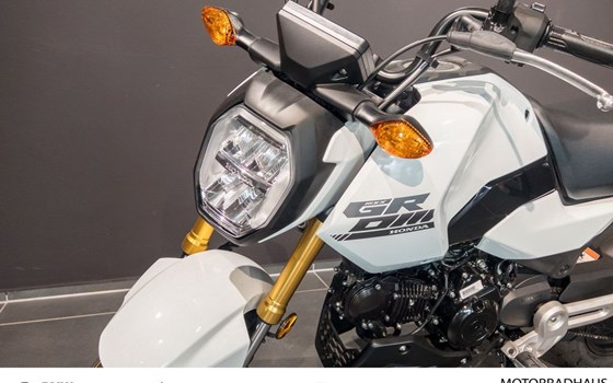 Gebrauchtmotorrad Honda MSX 125 - Bild 3