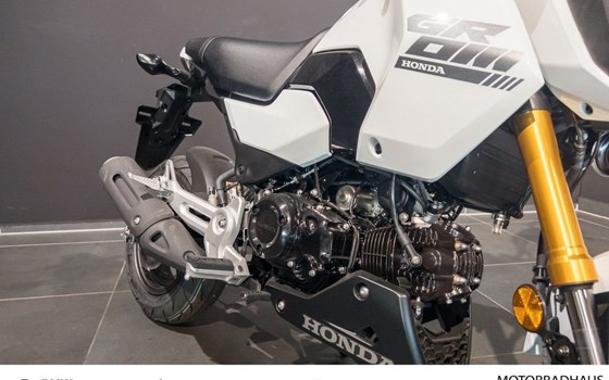 Gebrauchtmotorrad Honda MSX 125 - Bild 5