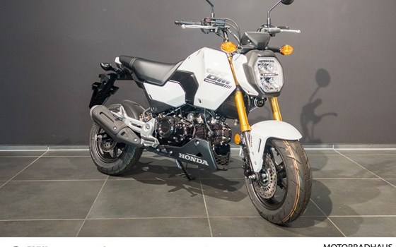 Gebrauchtmotorrad Honda MSX 125 - Bild 6