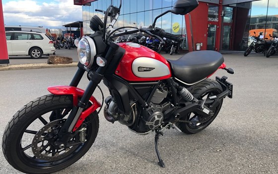 Gebrauchtmotorrad Ducati Scrambler Icon - Bild 1 Gebrauchtmotorrad Ducati Scrambler Icon - Bild 1