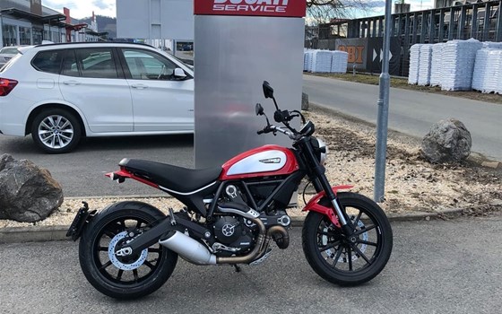 Gebrauchtmotorrad Ducati Scrambler Icon - Bild 3 Gebrauchtmotorrad Ducati Scrambler Icon - Bild 3