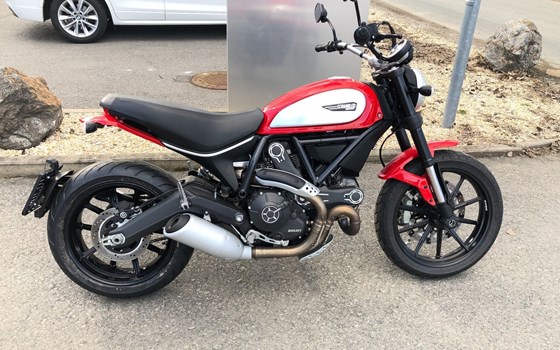 Gebrauchtmotorrad Ducati Scrambler Icon - Bild 4 Gebrauchtmotorrad Ducati Scrambler Icon - Bild 4